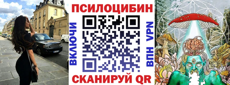 Купить  Фокино  Галлюциногенные грибы GOLDEN TEACHER 